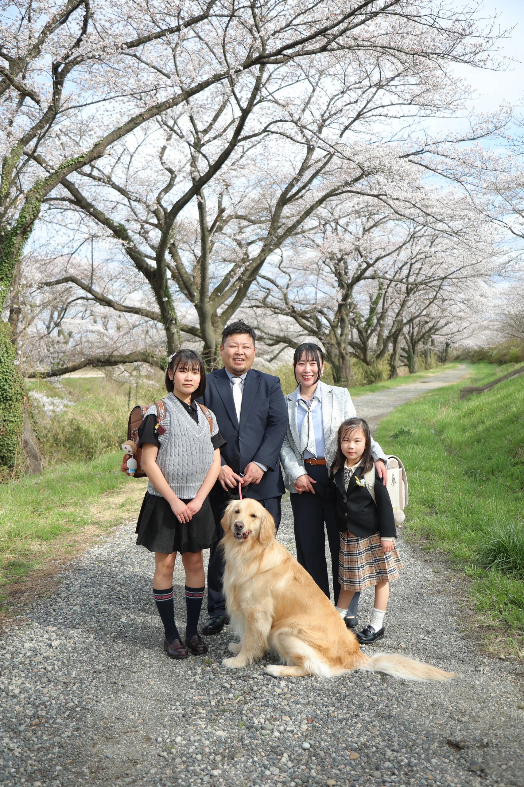 桜並木で家族と愛犬を一緒に撮影した入学記念写真