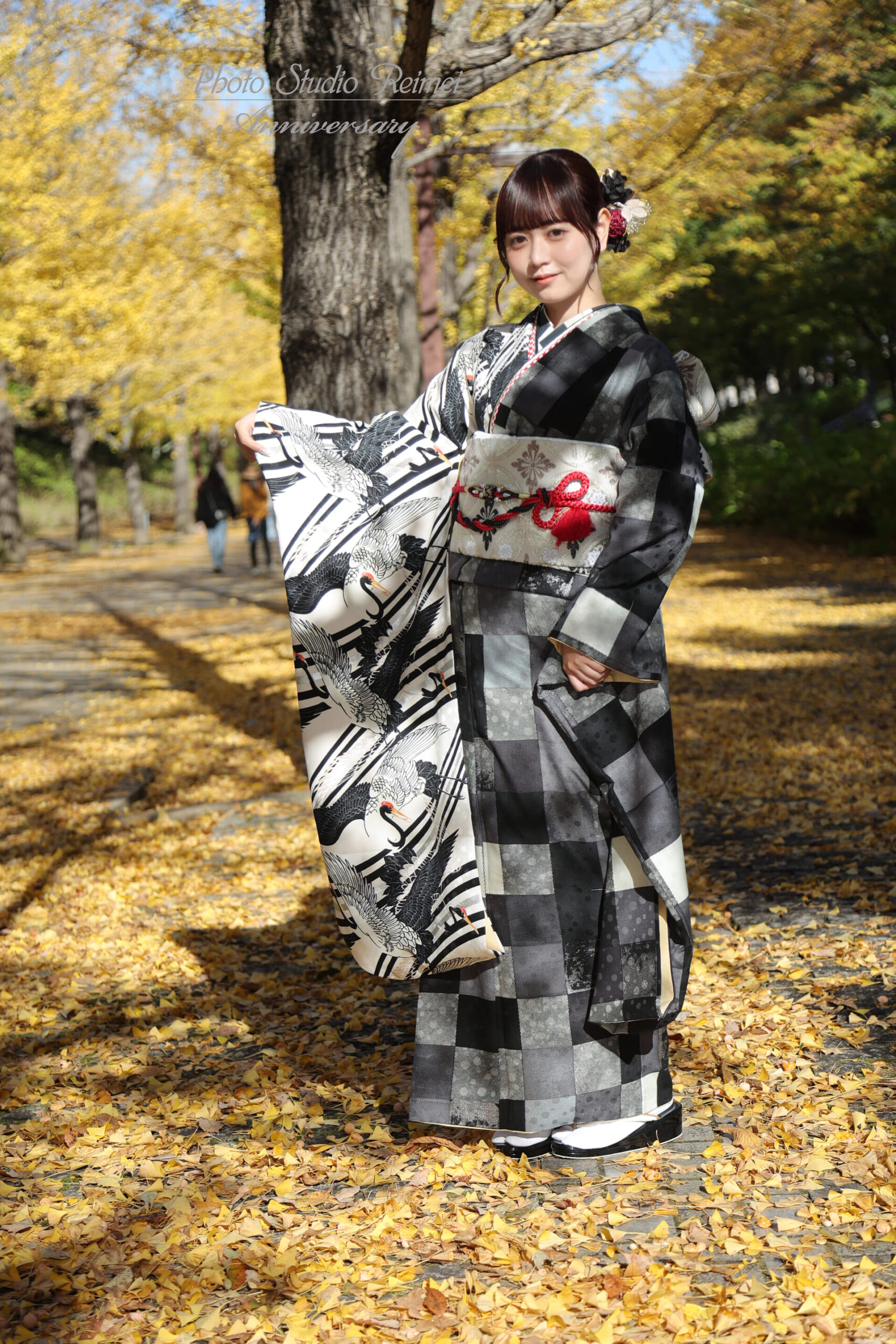紅葉の公園でモノトーンの振袖を着た成人式前撮り